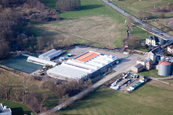 Griesbach im Bundesland Bas-Rhin, Frankreich