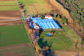 Schrägluftbild von Kakteenland Steinfeld im Bundesland Rheinland-Pfalz, Deutschland