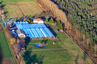 Kakteenland Steinfeld im Bundesland Rheinland-Pfalz, Deutschland von oben