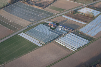 Herxheim bei Landau im Bundesland Rheinland-Pfalz, Deutschland aus der Luft