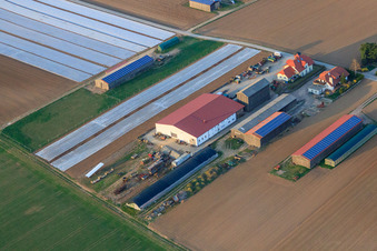 Landwirt Kerner Andreas in Am Wingertsberg in Herxheim bei Landau im Bundesland Rheinland-Pfalz, Deutschland