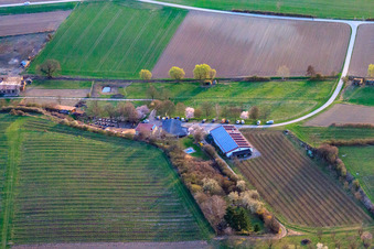 Weingut Anton (Produktion) Am Schambach in Herxheim bei Landau im Bundesland Rheinland-Pfalz, Deutschland