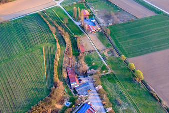 Luftbild von Ranch Herxe in Herxheim bei Landau im Bundesland Rheinland-Pfalz, Deutschland