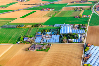 Luftbild von Gärtnerei Appich in Kleines Feldle in Möglingen im Bundesland Baden-Württemberg, Deutschland