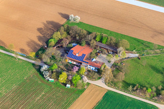 Schwalbenhof Leopold, Im Kornfeld in Möglingen im Bundesland Baden-Württemberg, Deutschland