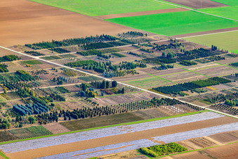 Baumschule Schillinger H.-J. und S., Im Kornfeld in Möglingen im Bundesland Baden-Württemberg, Deutschland