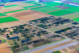Luftbild von Baumschule Schillinger H.-J. und S., Gröninger Weg in Möglingen im Bundesland Baden-Württemberg, Deutschland