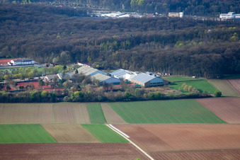 Stammheim, Tennisanlage Grand Slam Sportanlage Emerholzweg in Stuttgart im Bundesland Baden-Württemberg, Deutschland