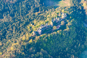 Burg Altdahn bei Dahn im Bundesland Rheinland-Pfalz, Deutschland