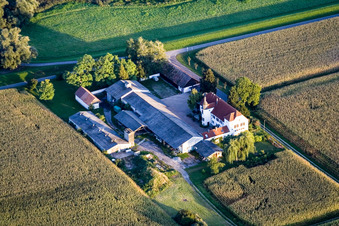 Hofgut Ludwigsau am Rhein im Ortsteil Maximiliansau in Wörth am Rhein im Bundesland Rheinland-Pfalz, Deutschland