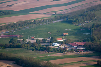 Haras in Neewiller-près-Lauterbourg im Bundesland Bas-Rhin, Frankreich