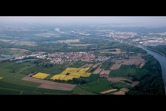 Dorfkern an den Fluß- Uferbereichen des Rhein im Ortsteil Rheinsheim in Philippsburg im Bundesland Baden-Württemberg, Deutschland