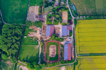 Schrägluftbild von Reitclub Altrip e.V im Bundesland Rheinland-Pfalz, Deutschland