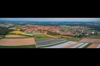 Panorama Perspektive der Dorf - Ansicht am Rande von landwirtschaftlichen Feldern und Nutzflächen in Rheinzabern im Bundesland Rheinland-Pfalz, Deutschland