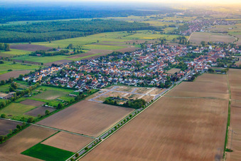 Neubaugebiet Im Holderbusch in Erschließung in Minfeld im Bundesland Rheinland-Pfalz, Deutschland
