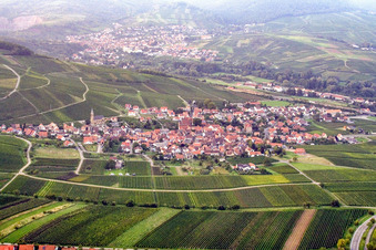 Winzerdorf von Süden in Birkweiler im Bundesland Rheinland-Pfalz, Deutschland