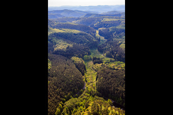 Tal des Wüsteichelsbach in Eppenbrunn im Bundesland Rheinland-Pfalz, Deutschland