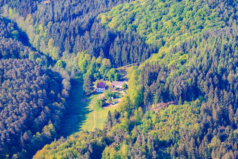 Im Georgenfeld in Eppenbrunn im Bundesland Rheinland-Pfalz, Deutschland