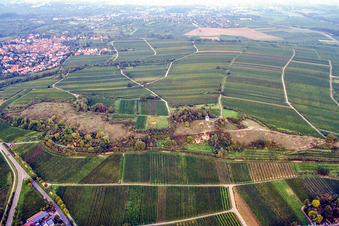 Kleine Kalmit in Ilbesheim bei Landau im Bundesland Rheinland-Pfalz, Deutschland