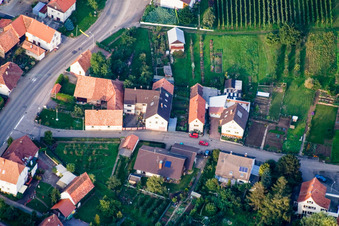 Wiesenstraße mit Freigeist Mosterei im Ortsteil Rechtenbach in Schweigen-Rechtenbach im Bundesland Rheinland-Pfalz, Deutschland