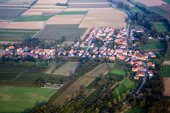 Kleinsteinfeld von Westen in Niederotterbach im Bundesland Rheinland-Pfalz, Deutschland