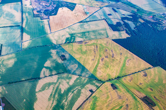 Feldmosaik mit Trockenschäden im Ortsteil Warnstedt in Thale im Bundesland Sachsen-Anhalt, Deutschland