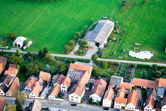 Weingut Jung in Kandel im Bundesland Rheinland-Pfalz, Deutschland