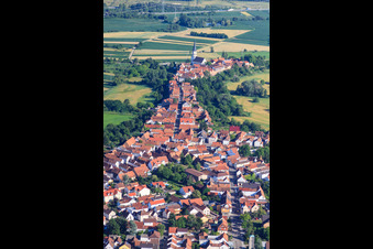 Hinterstädel von Norden in Jockgrim im Bundesland Rheinland-Pfalz, Deutschland