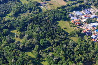 Bienwald in Jockgrim im Bundesland Rheinland-Pfalz, Deutschland