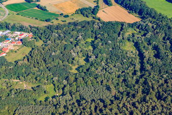 Tongrube in Jockgrim im Bundesland Rheinland-Pfalz, Deutschland aus der Luft
