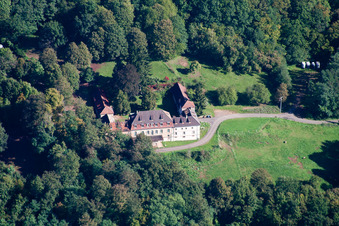 Weiler (bei Wissembourg), Chateau Langenberg im Bundesland Bas-Rhin, Frankreich
