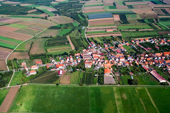 Dorf im Viehstrich am Bienwaldrand von Süden in Schweighofen im Bundesland Rheinland-Pfalz, Deutschland