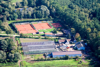 Waldhof Frey und Tennisplatz am Bienwald in Steinfeld im Bundesland Rheinland-Pfalz, Deutschland