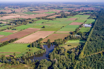 Freizeitsee Schwanenweiher am Bienwaldrand in Steinfeld im Bundesland Rheinland-Pfalz, Deutschland