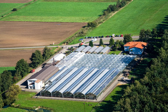 Kakteenland Steinfeld im Bundesland Rheinland-Pfalz, Deutschland aus der Luft