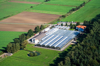 Kakteenland Steinfeld im Bundesland Rheinland-Pfalz, Deutschland von oben gesehen