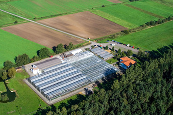 Steinfeld, Kakteenland im Bundesland Rheinland-Pfalz, Deutschland