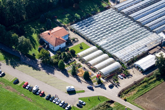 Luftaufnahme von Steinfeld, Kakteenland im Bundesland Rheinland-Pfalz, Deutschland