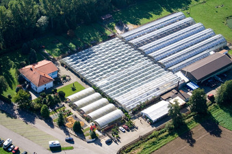 Schrägluftbild von Steinfeld, Kakteenland im Bundesland Rheinland-Pfalz, Deutschland