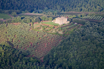 Montalcino im Bundesland Siena, Italien von oben