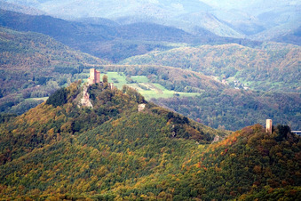 Burg Trifels im Ortsteil Bindersbach in Annweiler am Trifels im Bundesland Rheinland-Pfalz, Deutschland vom Flugzeug aus