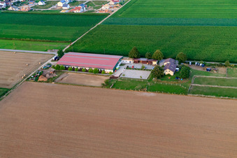 Reitsportanlage Fohlenhof in Steinweiler im Bundesland Rheinland-Pfalz, Deutschland aus der Luft