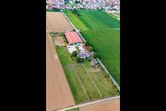 Drohnenaufname von Reitsportanlage Fohlenhof in Steinweiler im Bundesland Rheinland-Pfalz, Deutschland