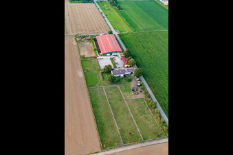 Steinweiler, Fohlenhof im Bundesland Rheinland-Pfalz, Deutschland
