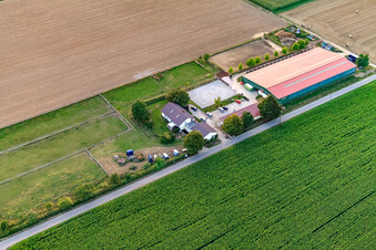Reitsportanlage Fohlenhof in Steinweiler im Bundesland Rheinland-Pfalz, Deutschland aus der Drohnenperspektive