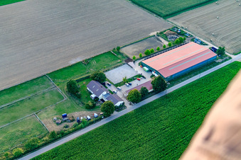 Reitsportanlage Fohlenhof in Steinweiler im Bundesland Rheinland-Pfalz, Deutschland von einer Drohne aus