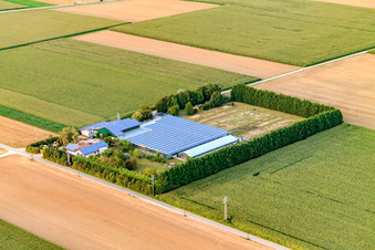 Sudetenhof in Steinweiler im Bundesland Rheinland-Pfalz, Deutschland vom Flugzeug aus