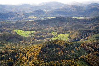 Blankenborn von Norden in Bad Bergzabern im Bundesland Rheinland-Pfalz, Deutschland