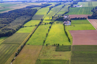Palatino Ranch in Steinweiler im Bundesland Rheinland-Pfalz, Deutschland von oben gesehen