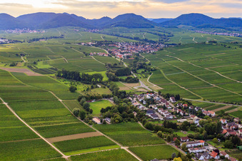 Ortsausgang nach W im Ortsteil Wollmesheim in Landau in der Pfalz im Bundesland Rheinland-Pfalz, Deutschland